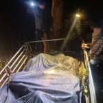 司机弃车逃跑，17名无证缅甸人被遗弃在泰国甘加那武里森林-百家乐技巧策略-百家乐论坛