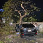 昨天,在金边发生了一辆由醉酒司机驾驶的汽车撞向路边的树木-百家乐技巧策略-百家乐论坛