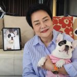 泰国女子斥资600万泰铢克隆心爱的法国斗牛犬-百家乐技巧策略-百家乐论坛