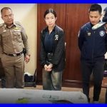 勒索、诈骗！6.18亿！中国男女在泰国落网-百家乐技巧策略-百家乐论坛